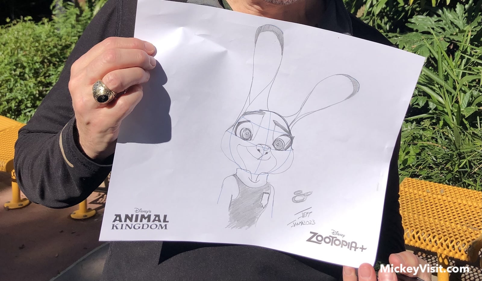 Judy Hopps drawing