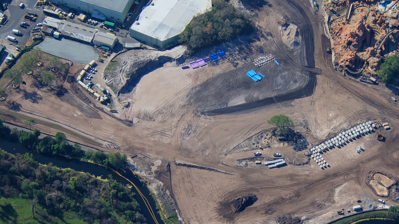 Preserved trees in construction site