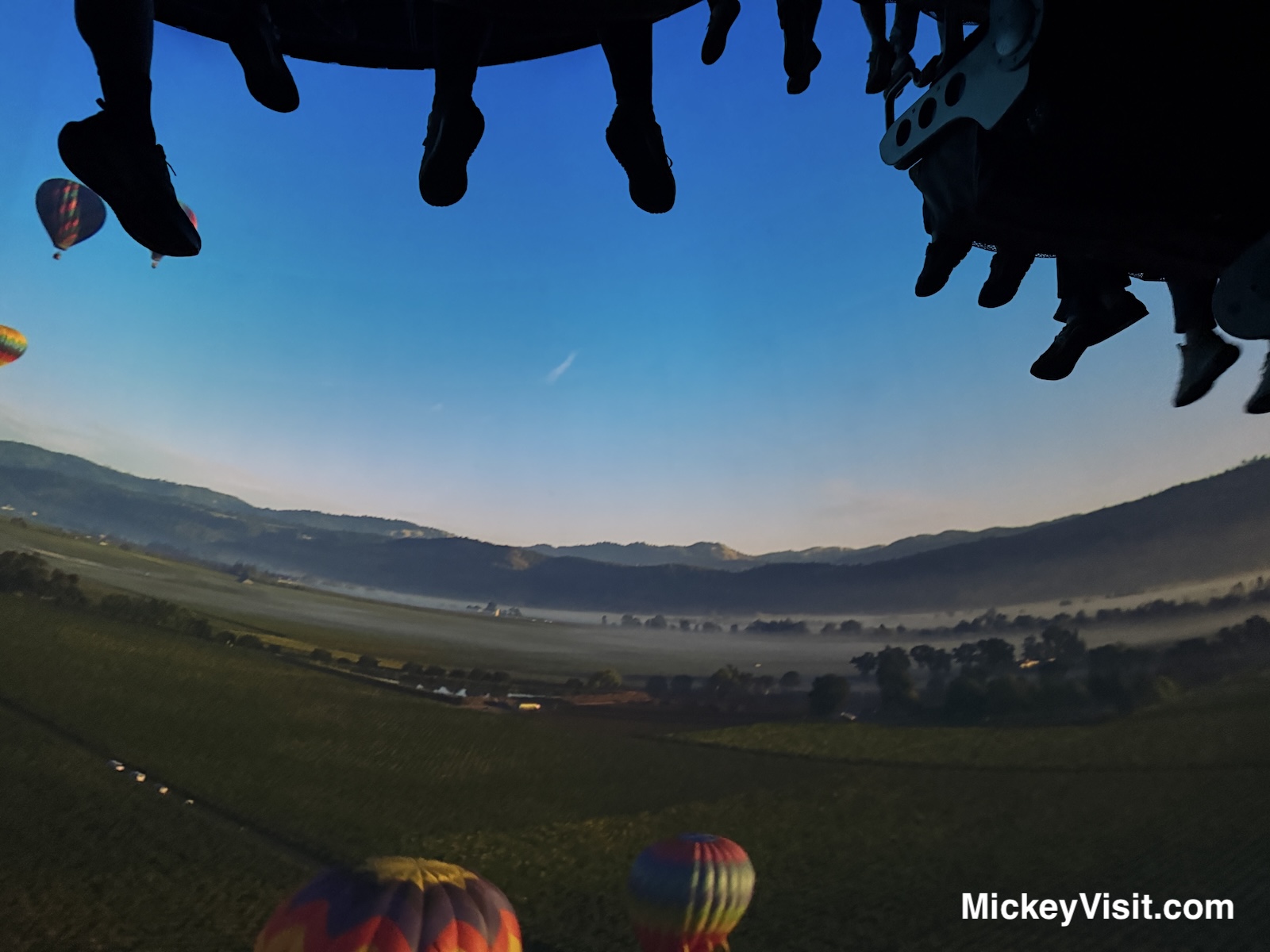 Soarin' Over California hot air balloons