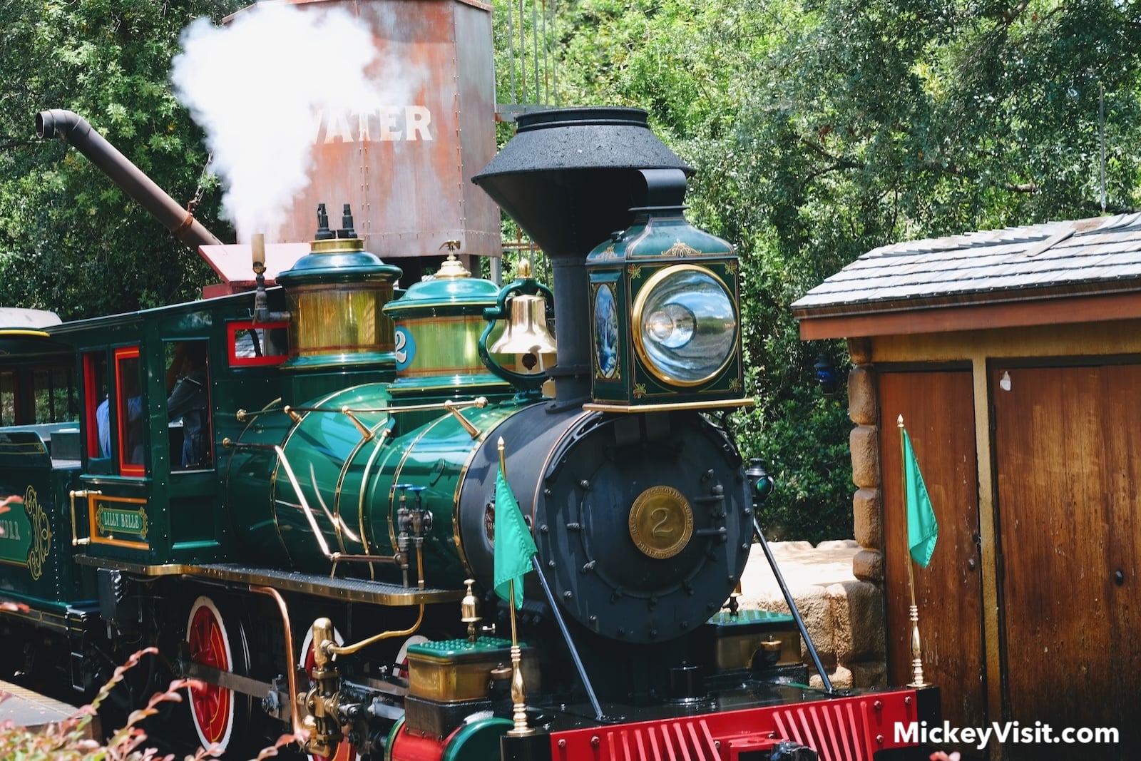 Disney World Railroad train