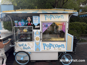 Disney popcorn bucket