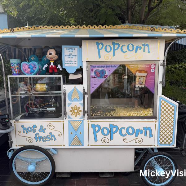 Disney popcorn bucket