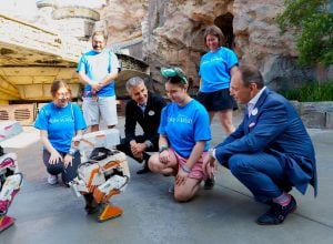 disney parks chairman and ceo