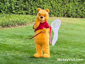 Winnie the Pooh with a butterfly net