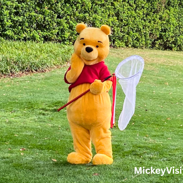 Winnie the Pooh with a butterfly net