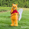 Winnie the Pooh with a butterfly net