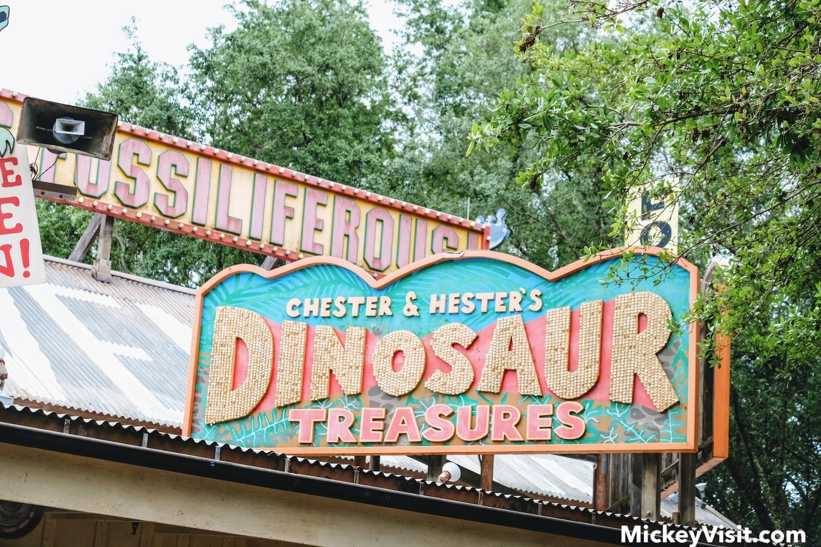 Chester & Hester's Dinosaur Treasures sign