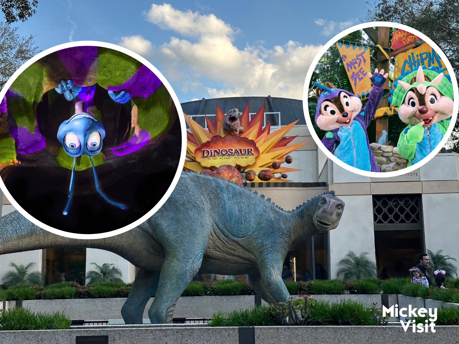 Disney Has Closed 5 Animal Kingdom Opening Day Attractions to