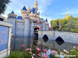 Disneyland Sleeping Beauty Castle with flowers and 70th anniversary decor