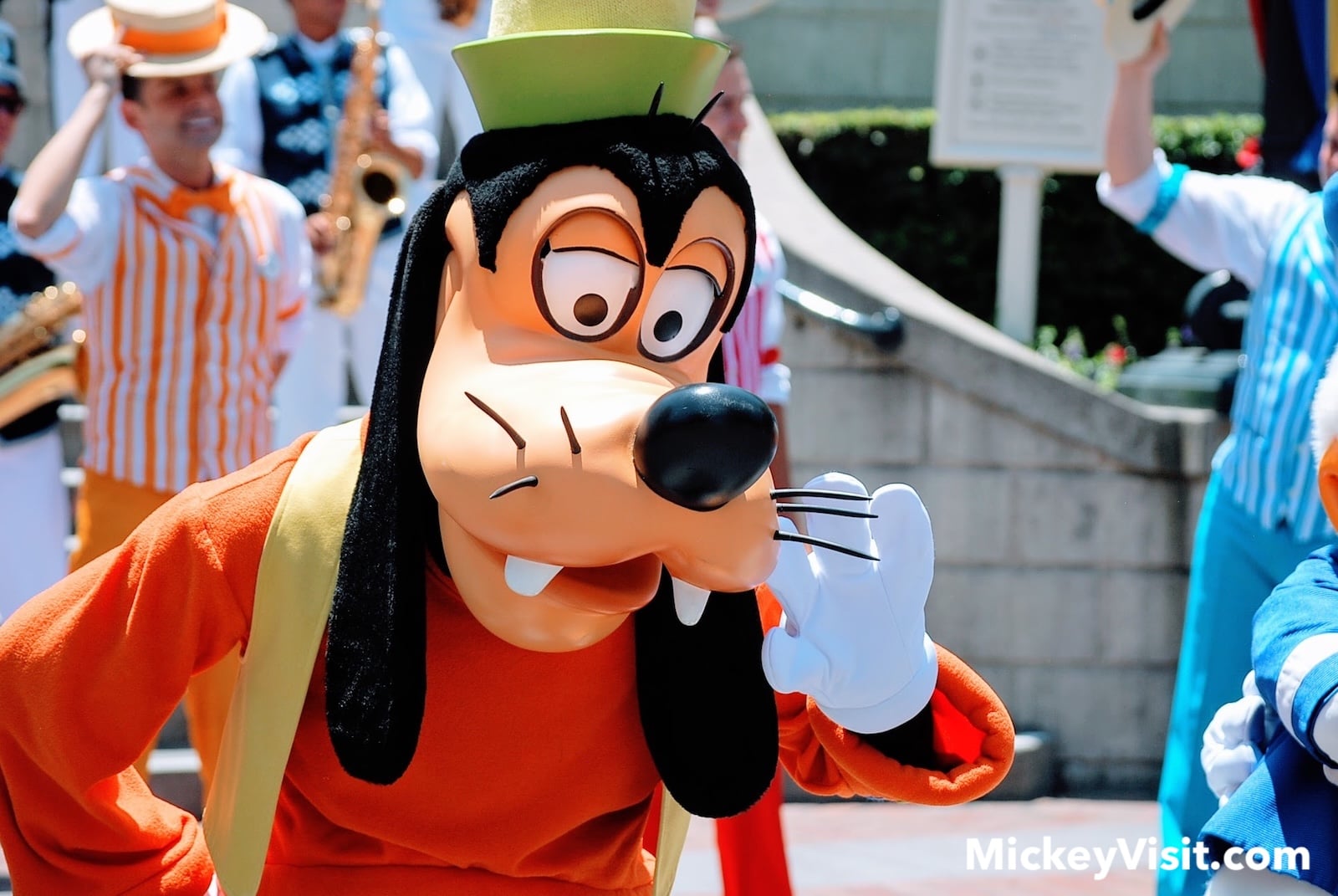 Goofy