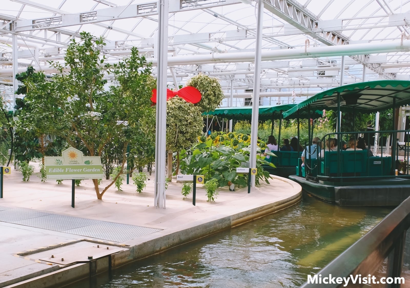 Living with the Land