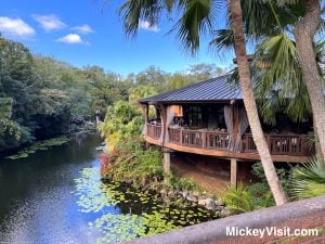 Nomad Lounge over water at Animal Kingdom