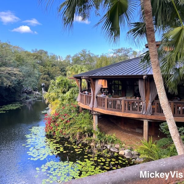 Nomad Lounge over water at Animal Kingdom