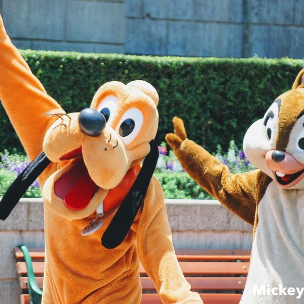 Pluto, Chip