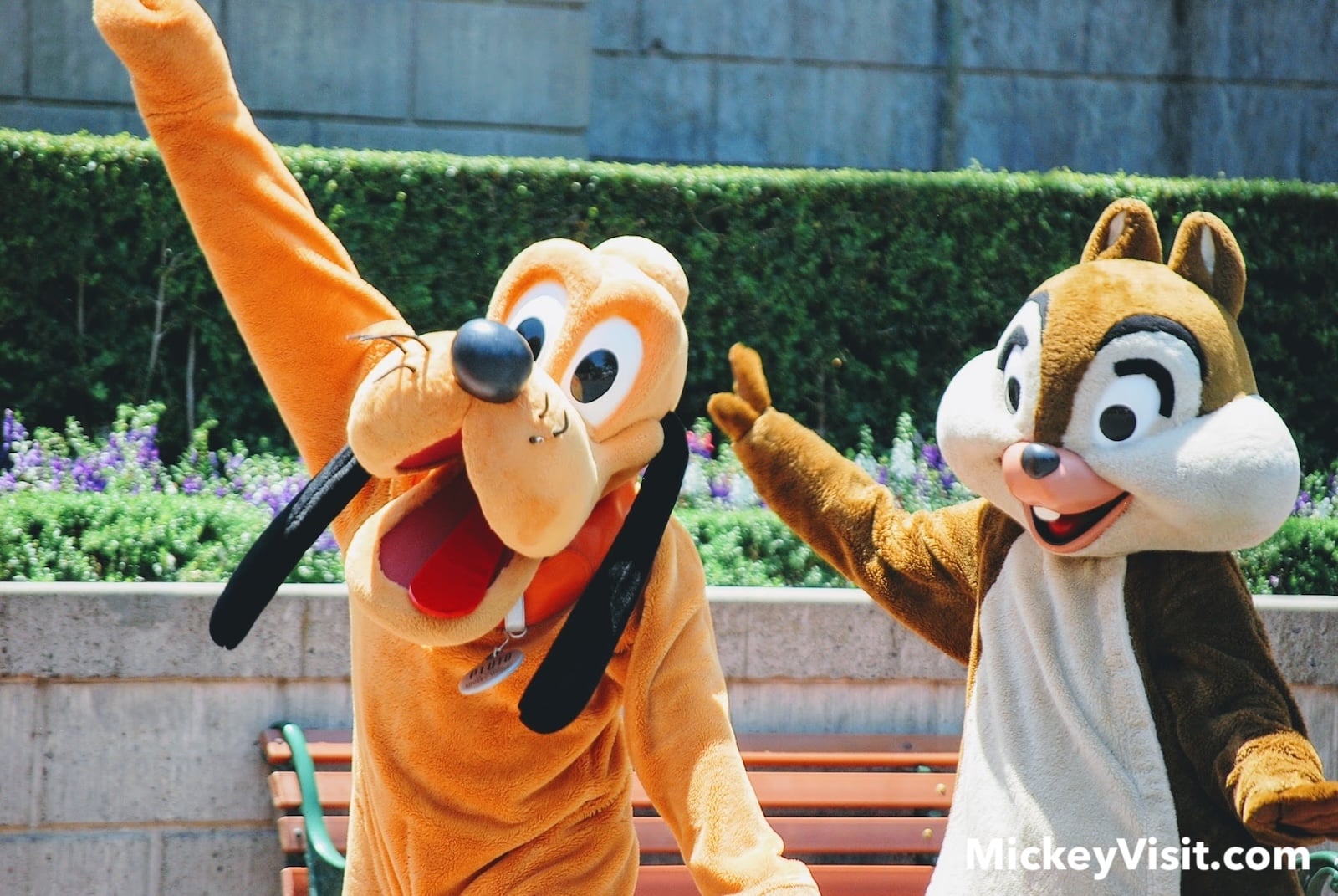 Disney Announces New Park Changes, Closures, Member Perks, and