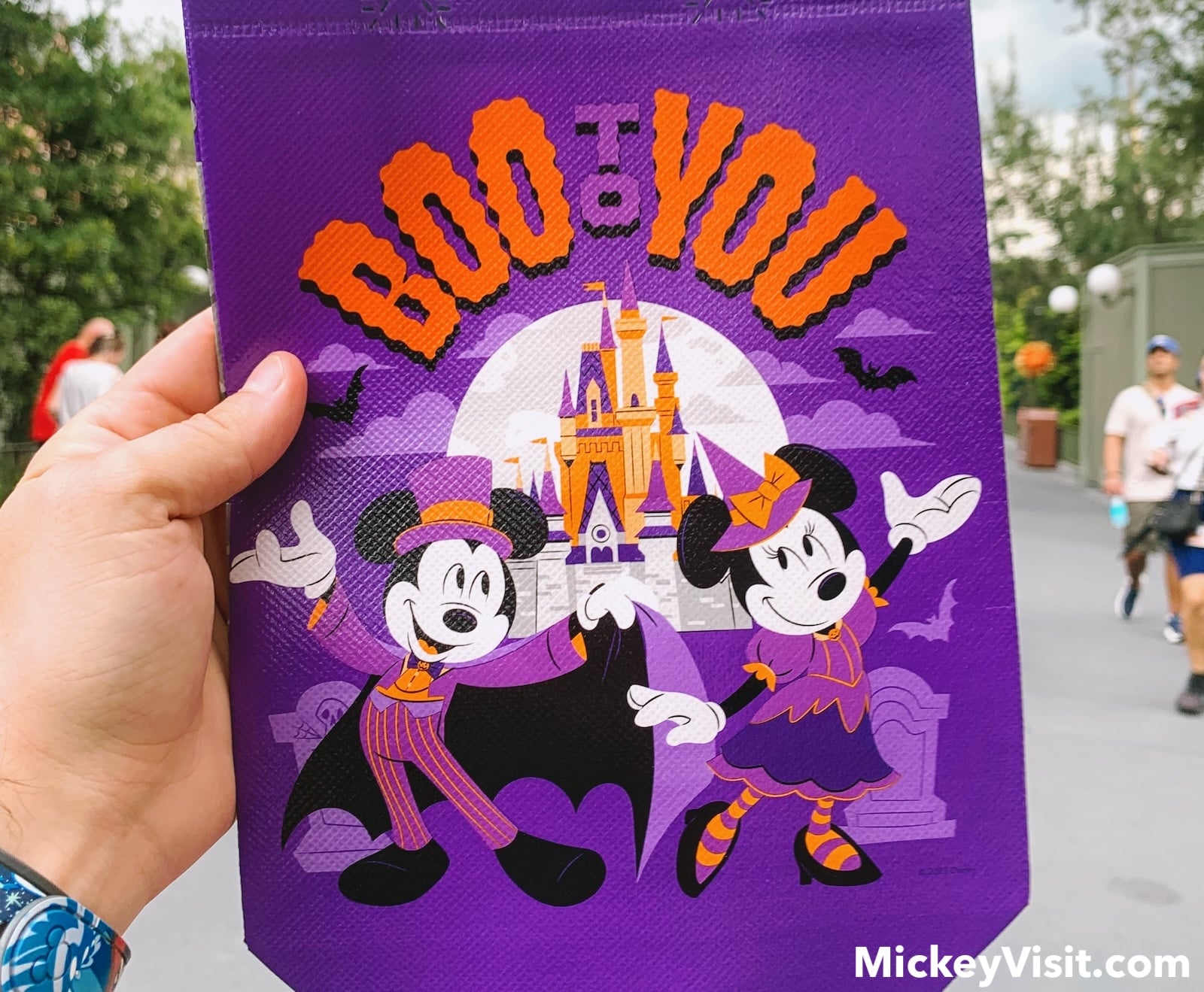 Trick-or-treat bag