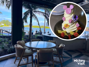 Wailulu Bar & Grill Disney's Polynesian view and dessert