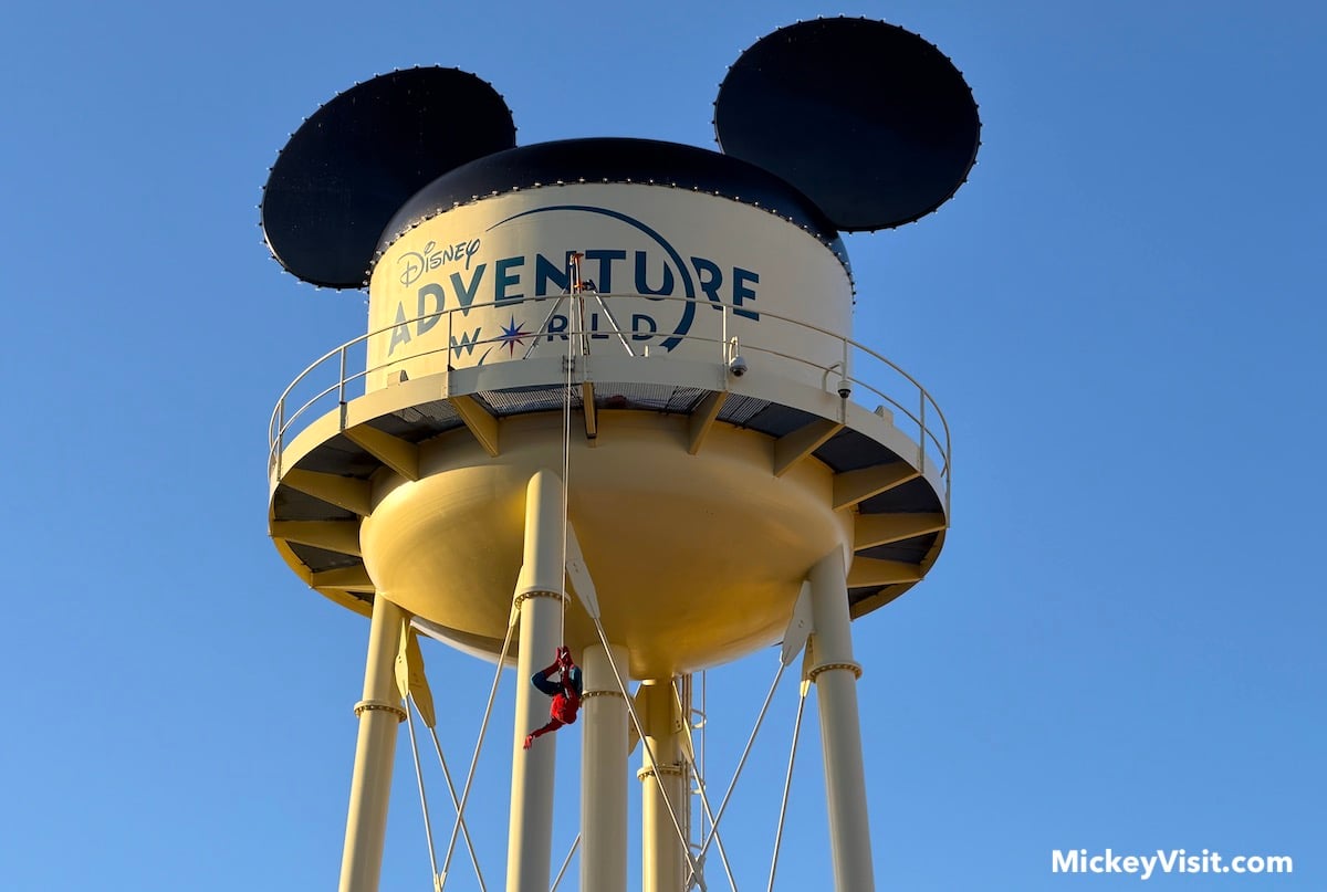 disney adventure world water tower