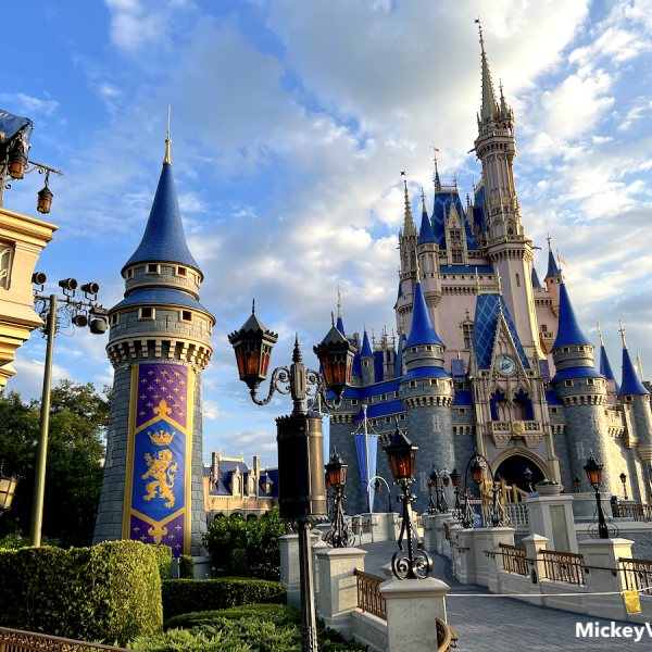 disney castle magic kingdom