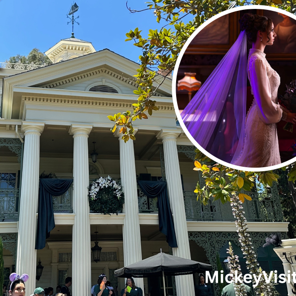 Haunted Mansion wedding