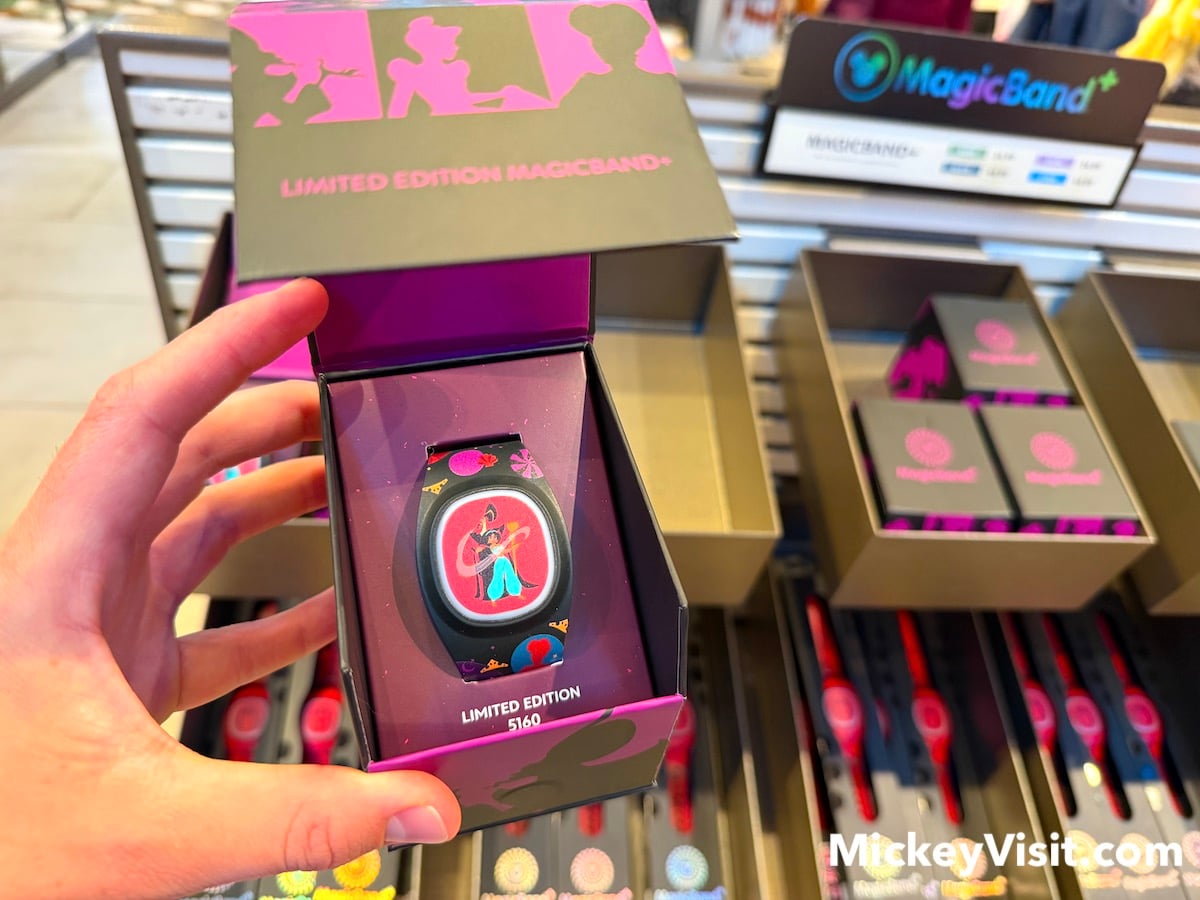 magicband disneyland world of disney store