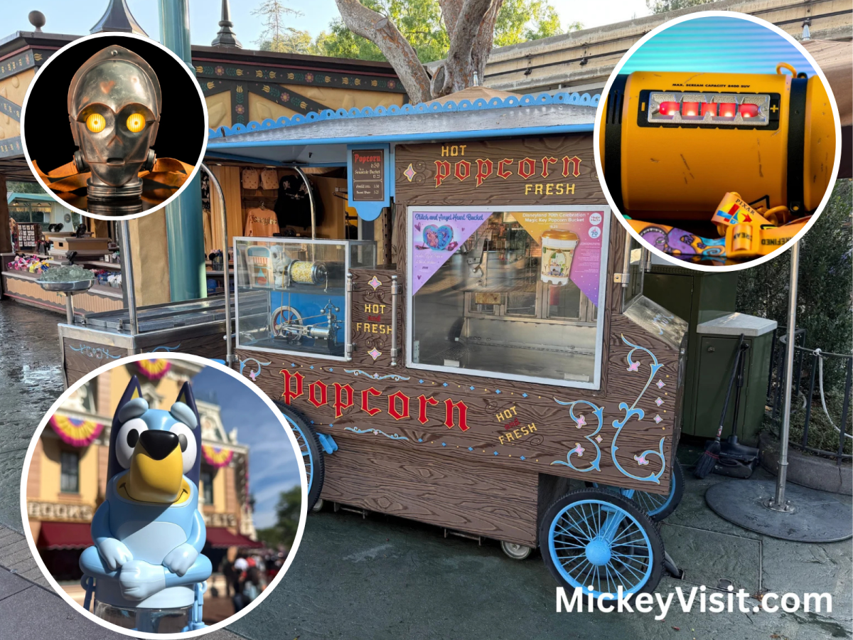 Disneyland popcorn buckets