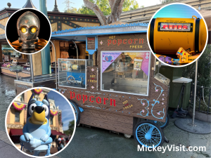 Disneyland popcorn buckets