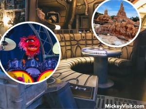 Millennium Falcon, Muppets, and Big Thunder Mountain Disney World