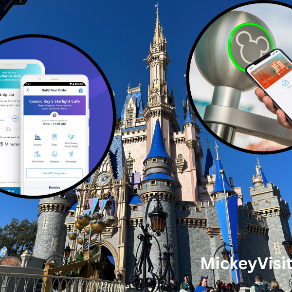 phones disney world castle