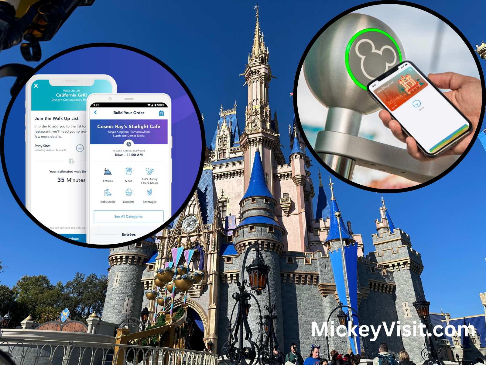 phones disney world castle