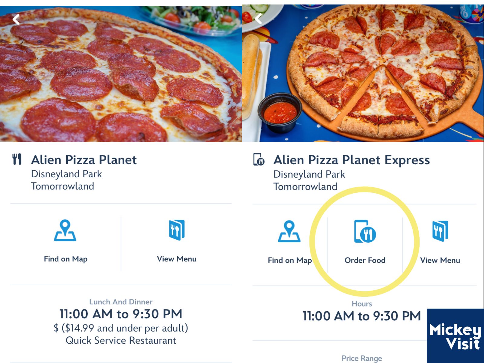 Alien Pizza Planet Express