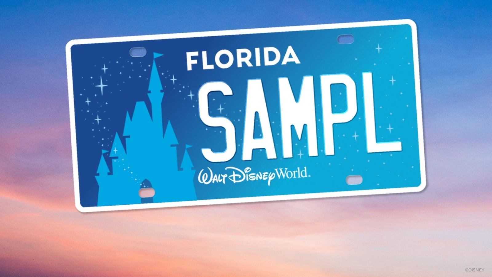 Florida Disney World license plate 