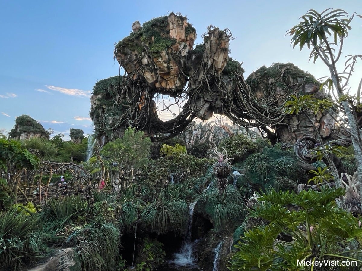 Animal Kingdom