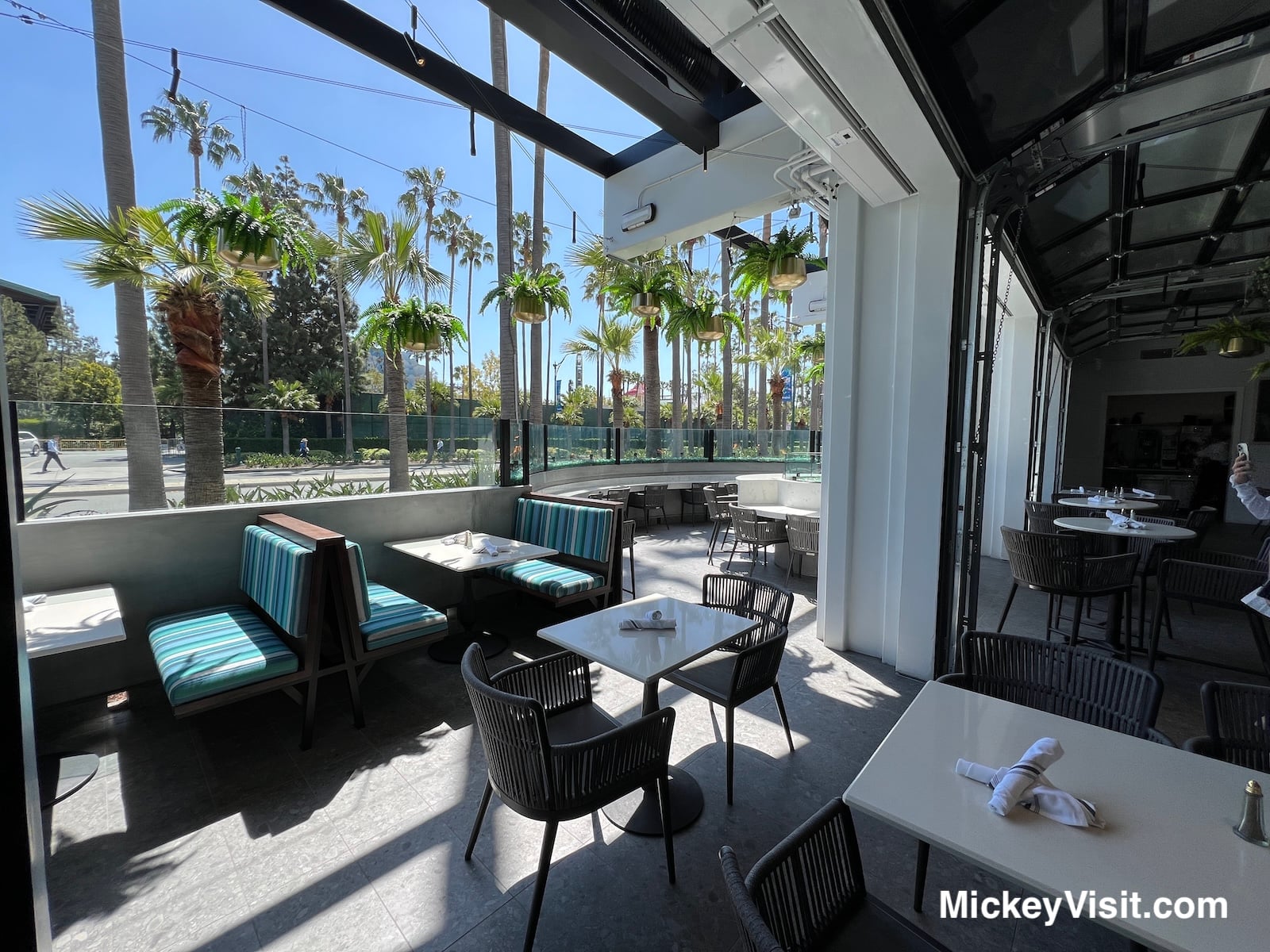 The Great Maple at Pixar Place Hotel window seats