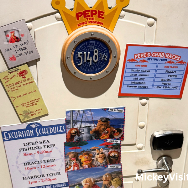 Disney Cruise door
