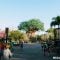 Animal Kingdom empty