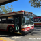 Disney World bus