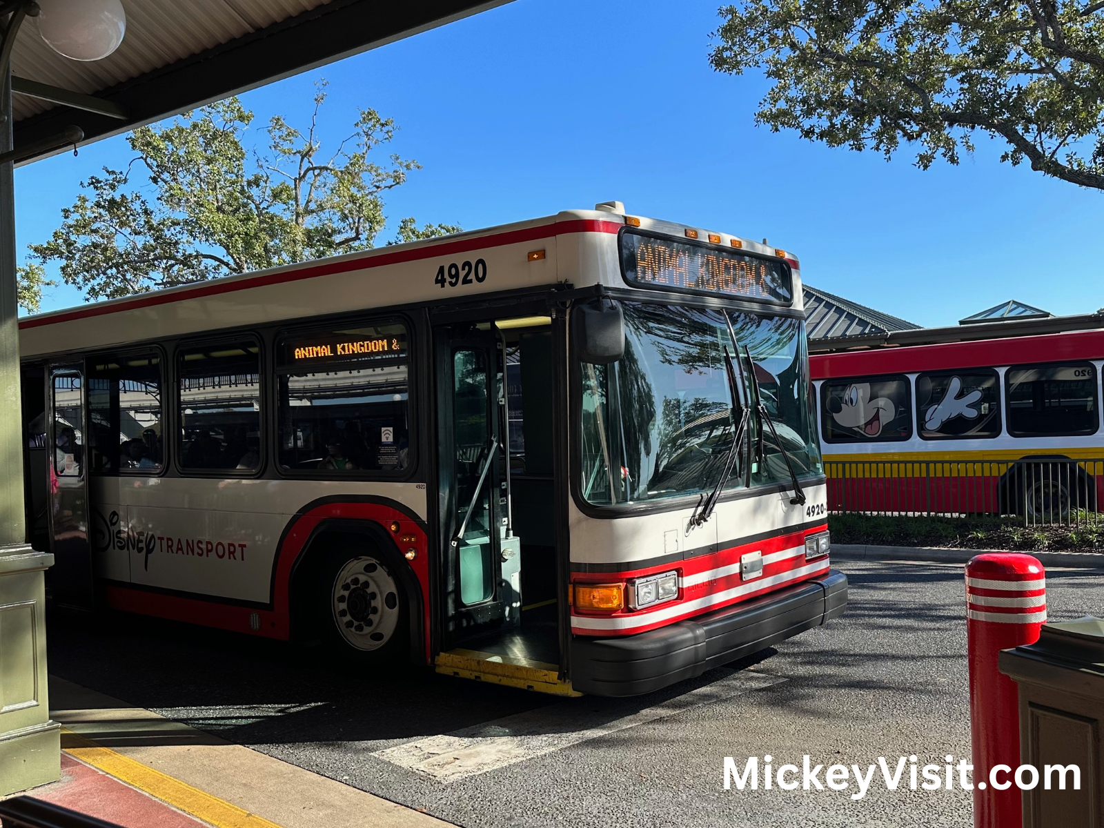 Disney World bus