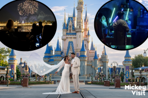 disney expensive in front of the castle wedding