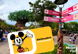 disney animal kingdom with annual pass