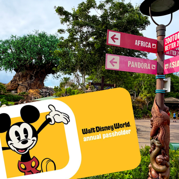 disney animal kingdom with annual pass