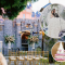 Disneyland Wedding