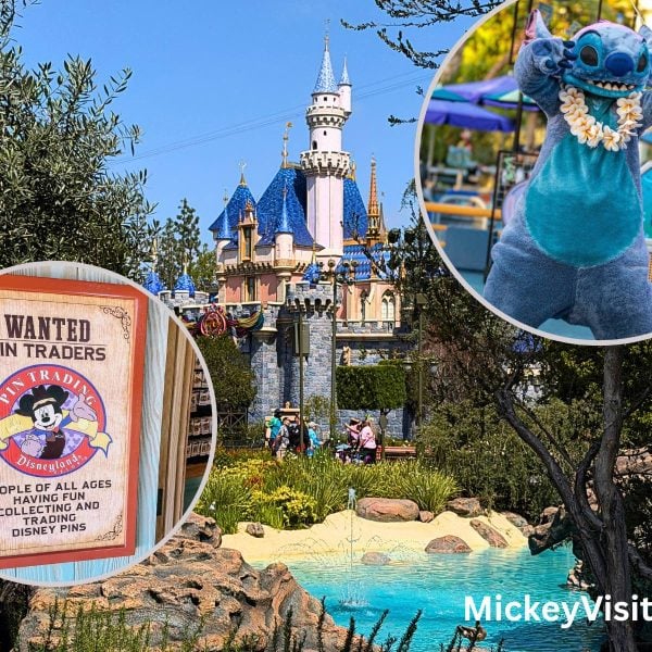 disneyland castle with pin trading image and stitch image