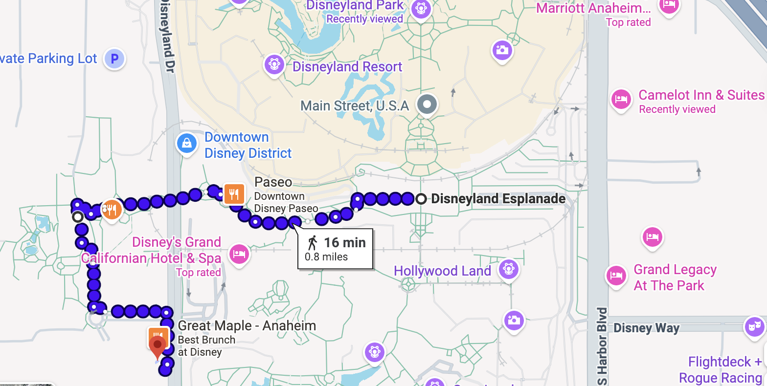 Disneyland hotel