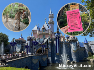 Disneyland castle