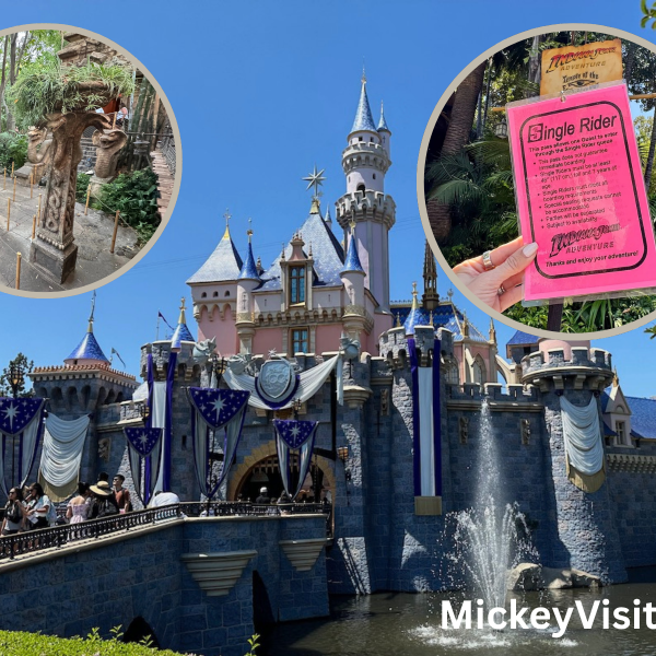 Disneyland castle