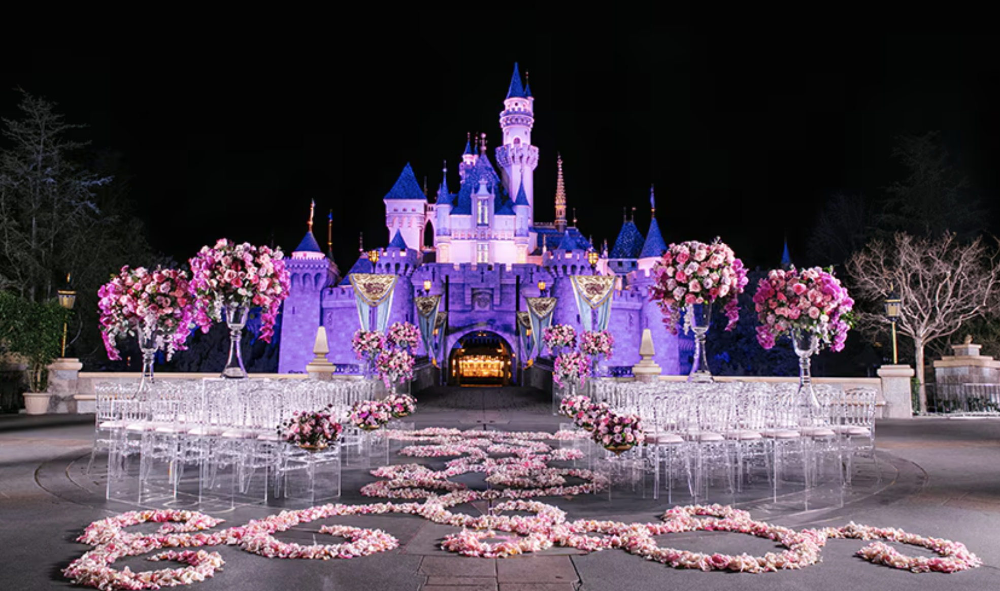 Disneyland castle