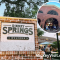 Disney Springs