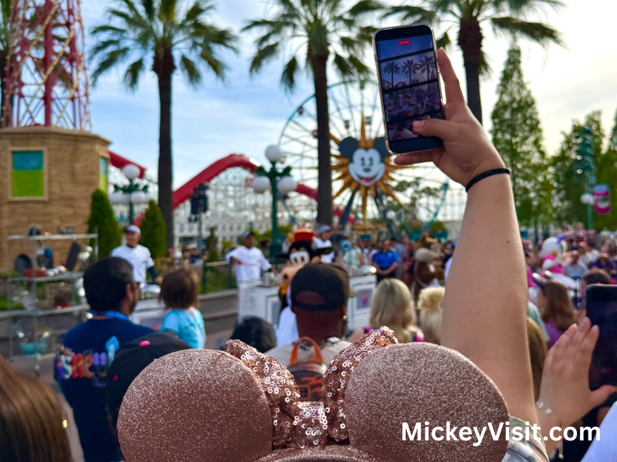Disney Camera in Park