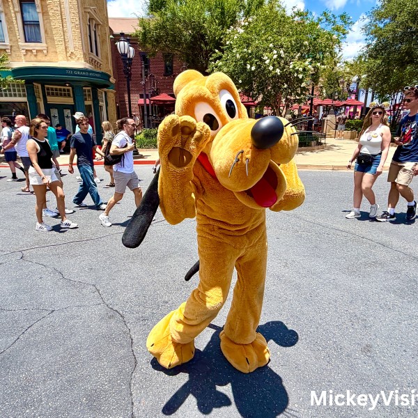 Pluto Disneyland